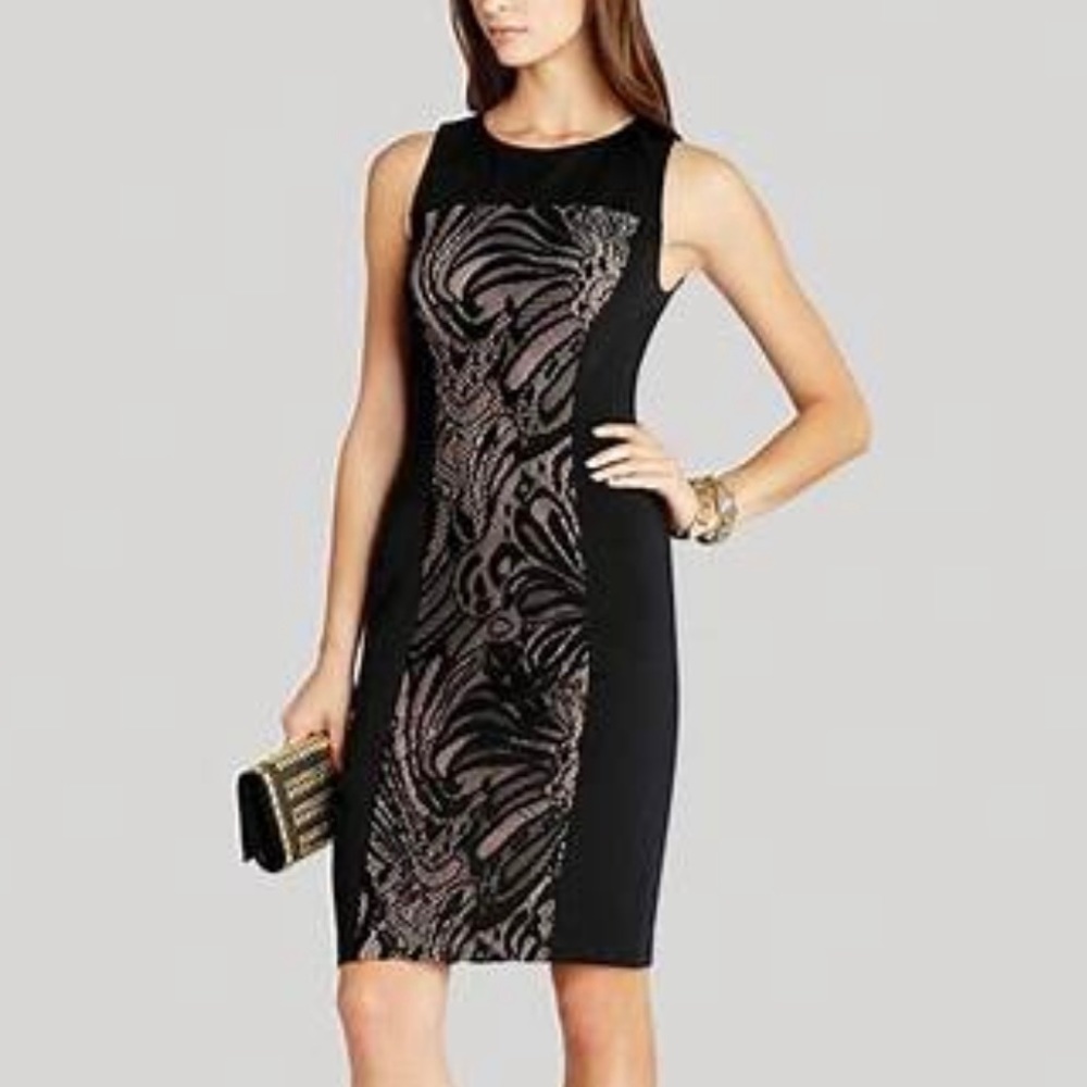 BCBGMaxAzria Leona Lace Dress with Contrast Ponte
